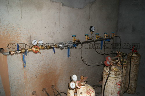 5��(g��)�^��Ȳ�R����